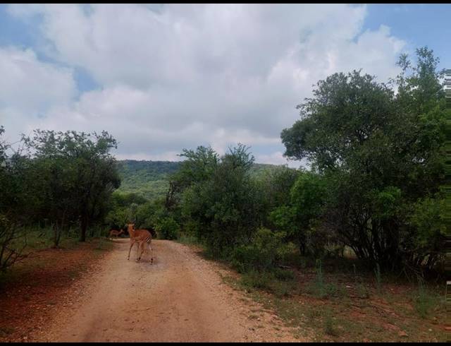 FARM FOR SALE IN RUSTENBURG RURAL